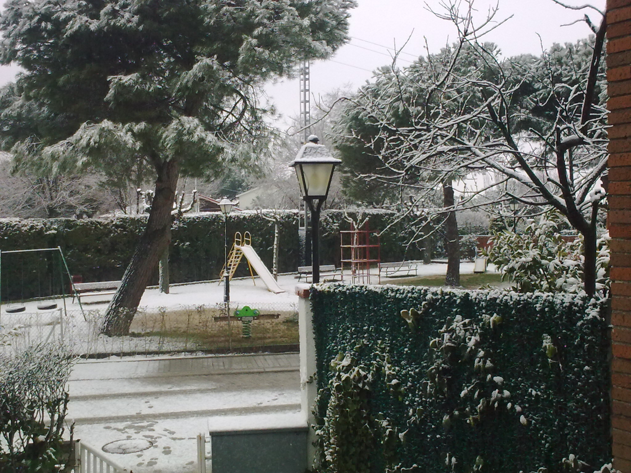 雪景