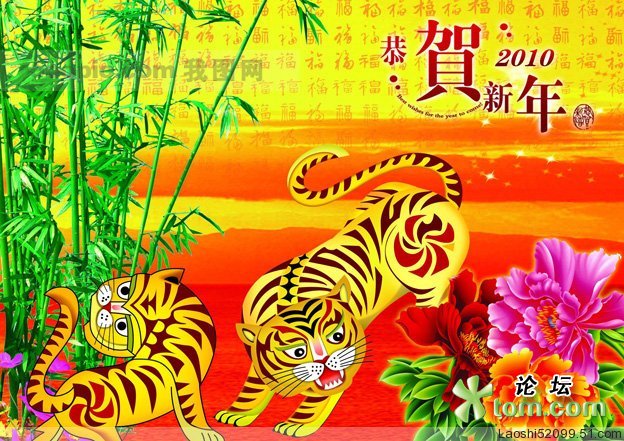 46157_n.jpg