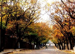 八大关2.jpg