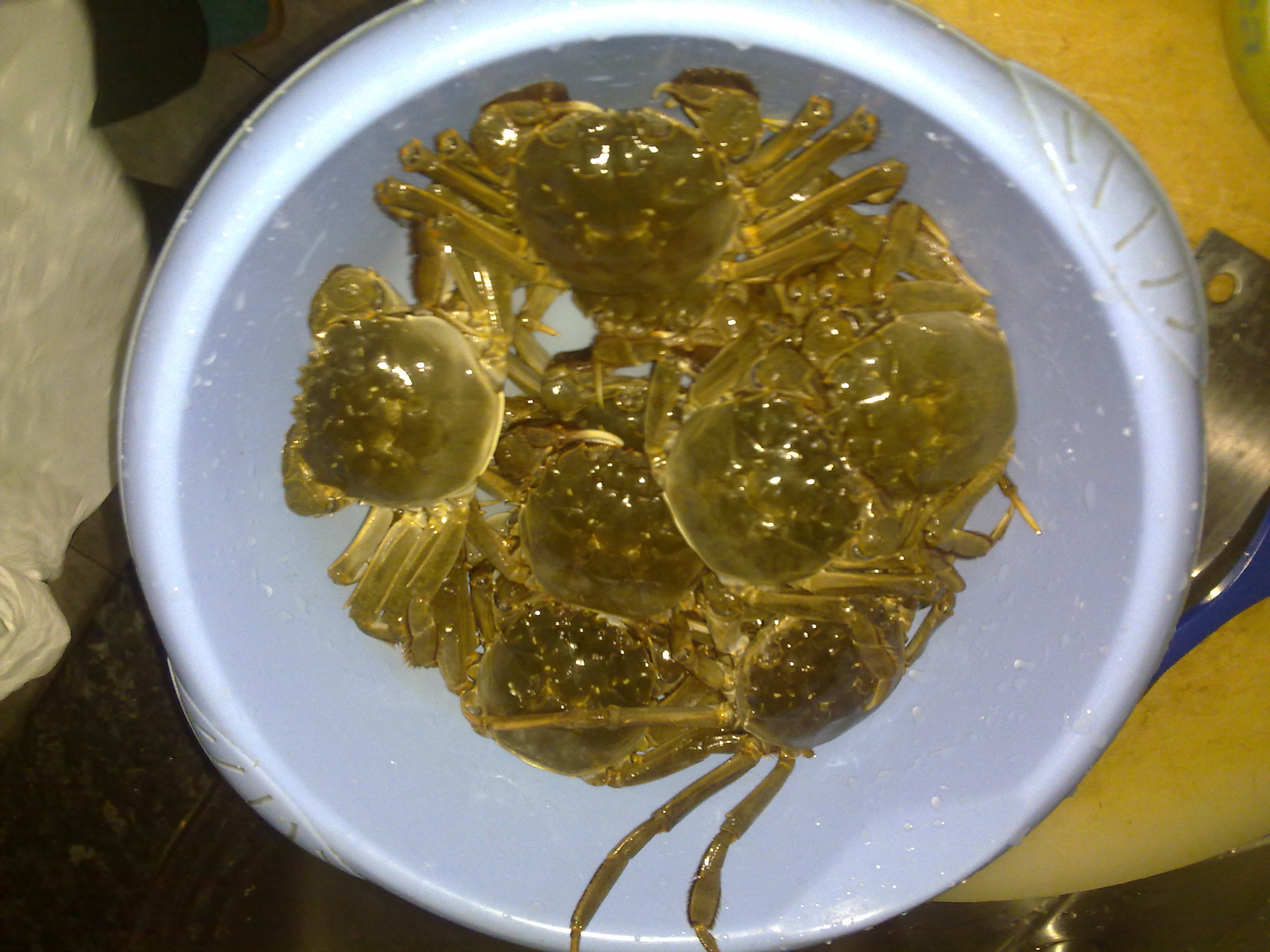 20101022177.jpg