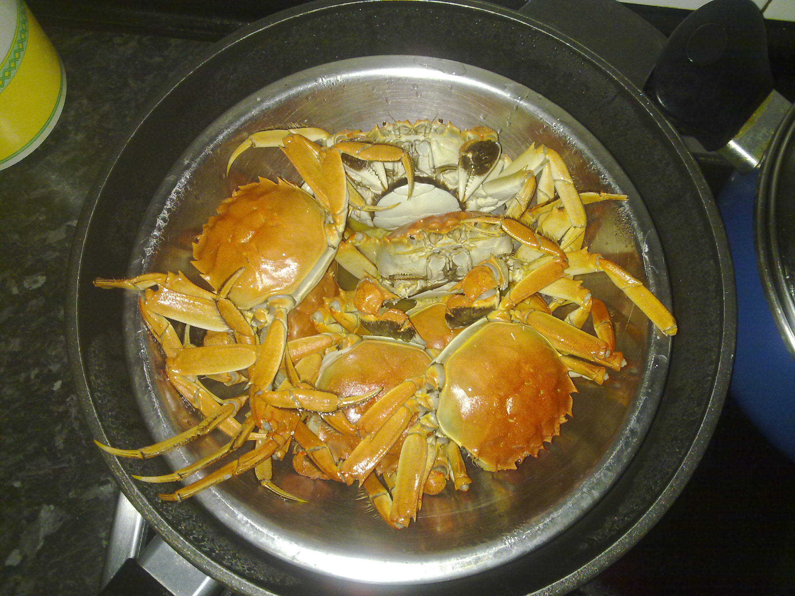 20101022179.jpg