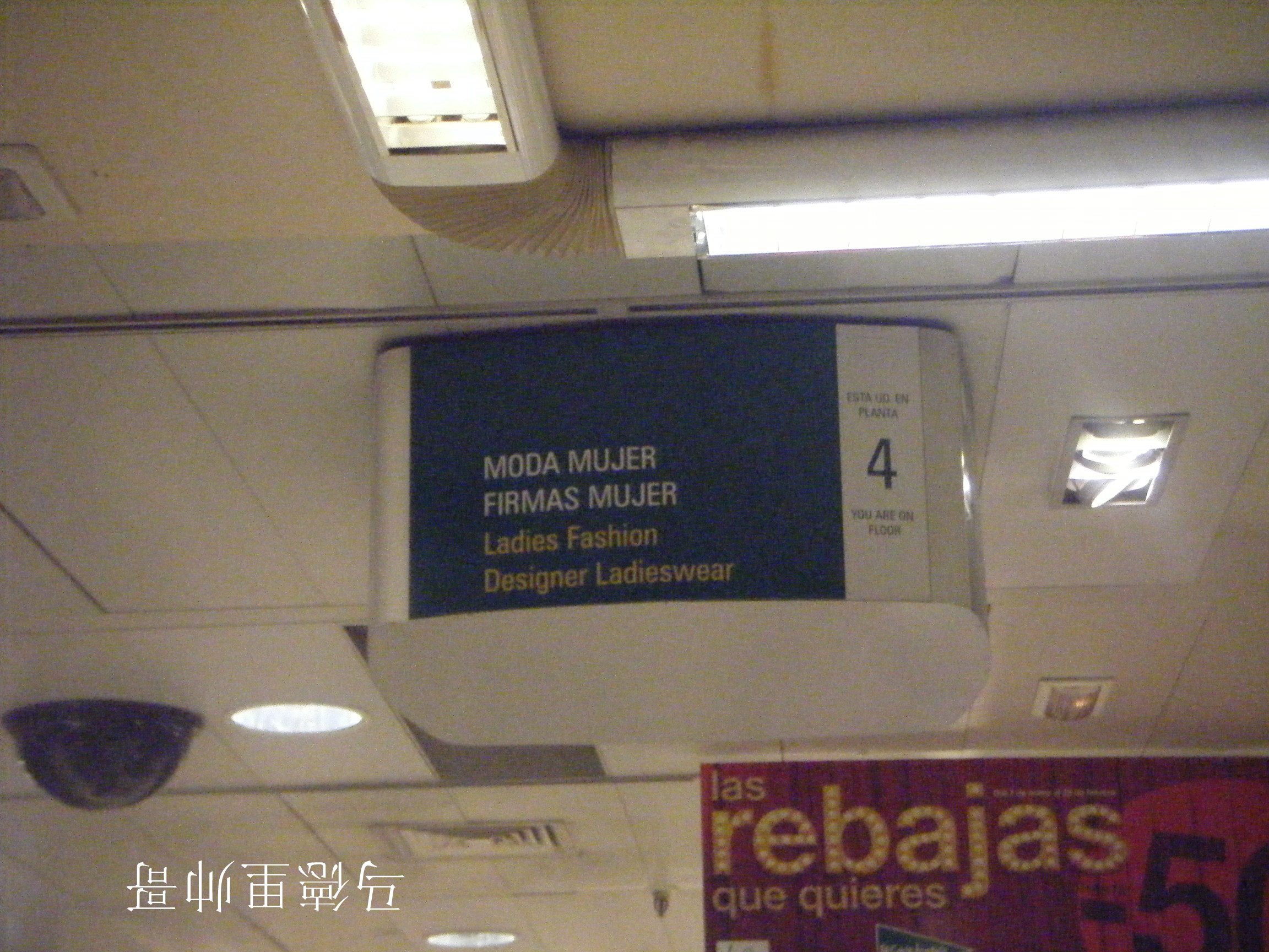 DSCF7017.JPG