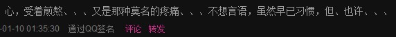 saasxz.jpg