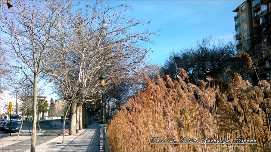 Paseo_de_Colón_Zaragoza_Espa?a_07.jpg