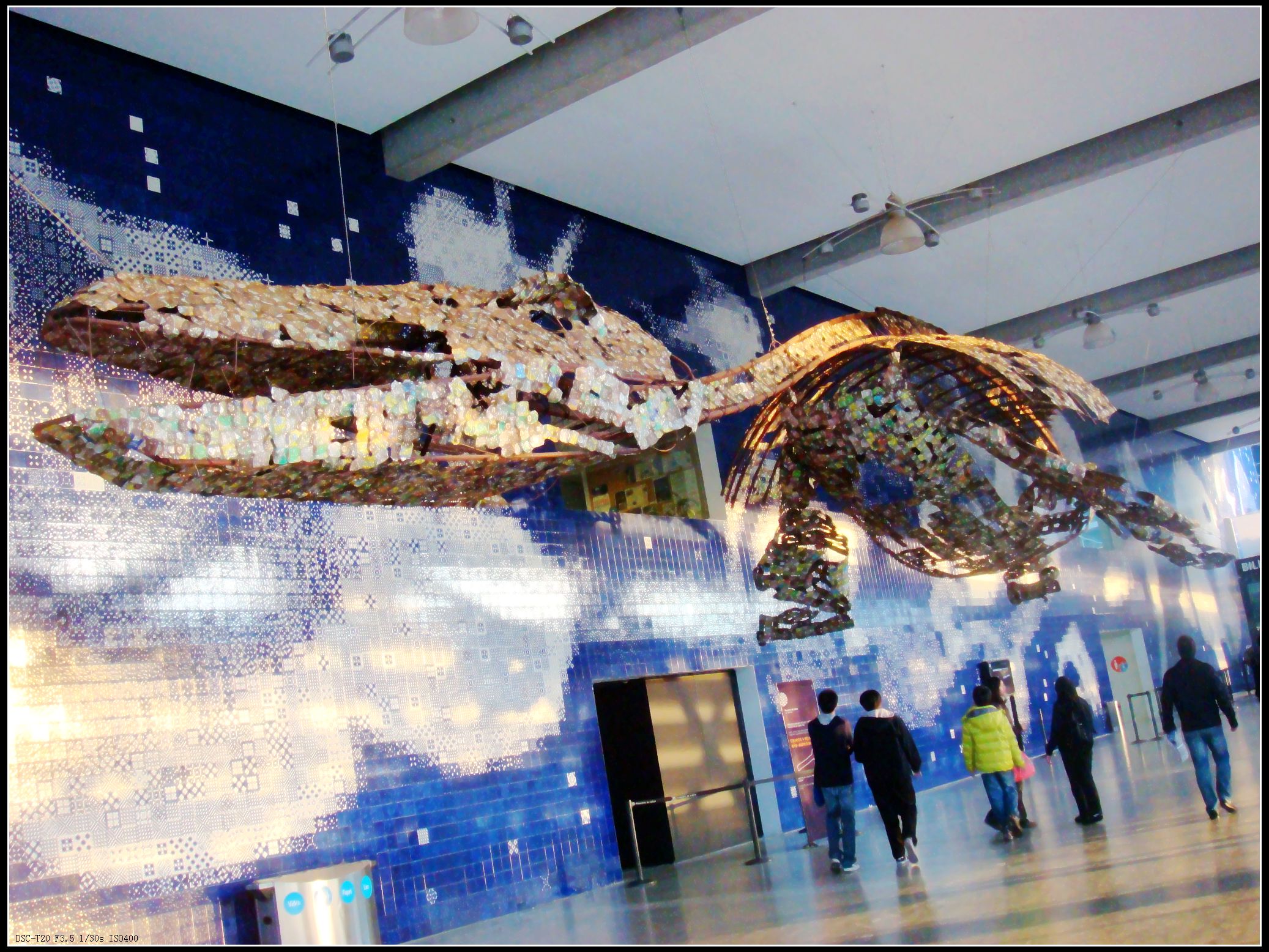 在水族馆二楼看到一个圈是由废弃易拉罐做成的恐龙