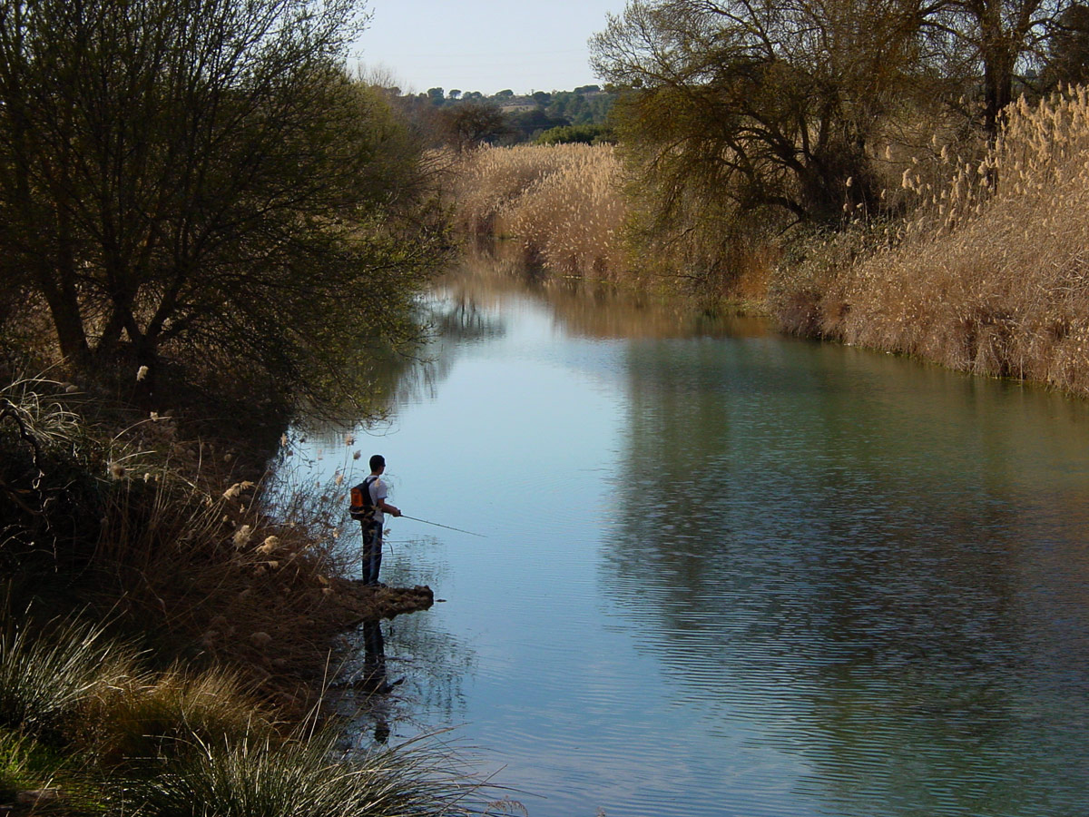 puente-mahora-6.jpg