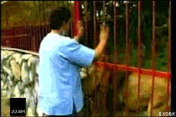 731d75f7jw1dhmaajtdr8g.gif