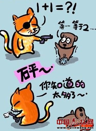 烦烦.jpg