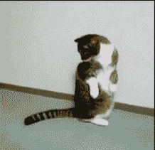 64c3291ctw1dhty88y0w6g.gif