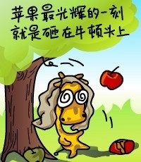 1f5c530ca1dae79462d986c4.jpg