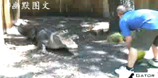 731d75f7jw1di3g33wyuqg.gif