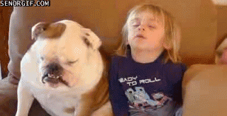 62037b5ajw1di3j90m88ig.gif