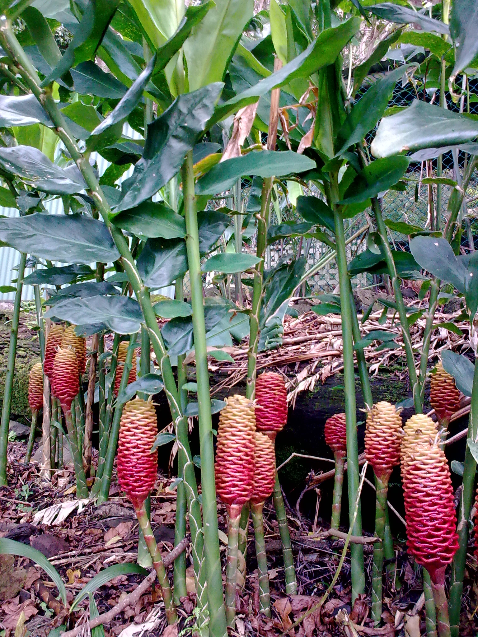 20110429_001.jpg