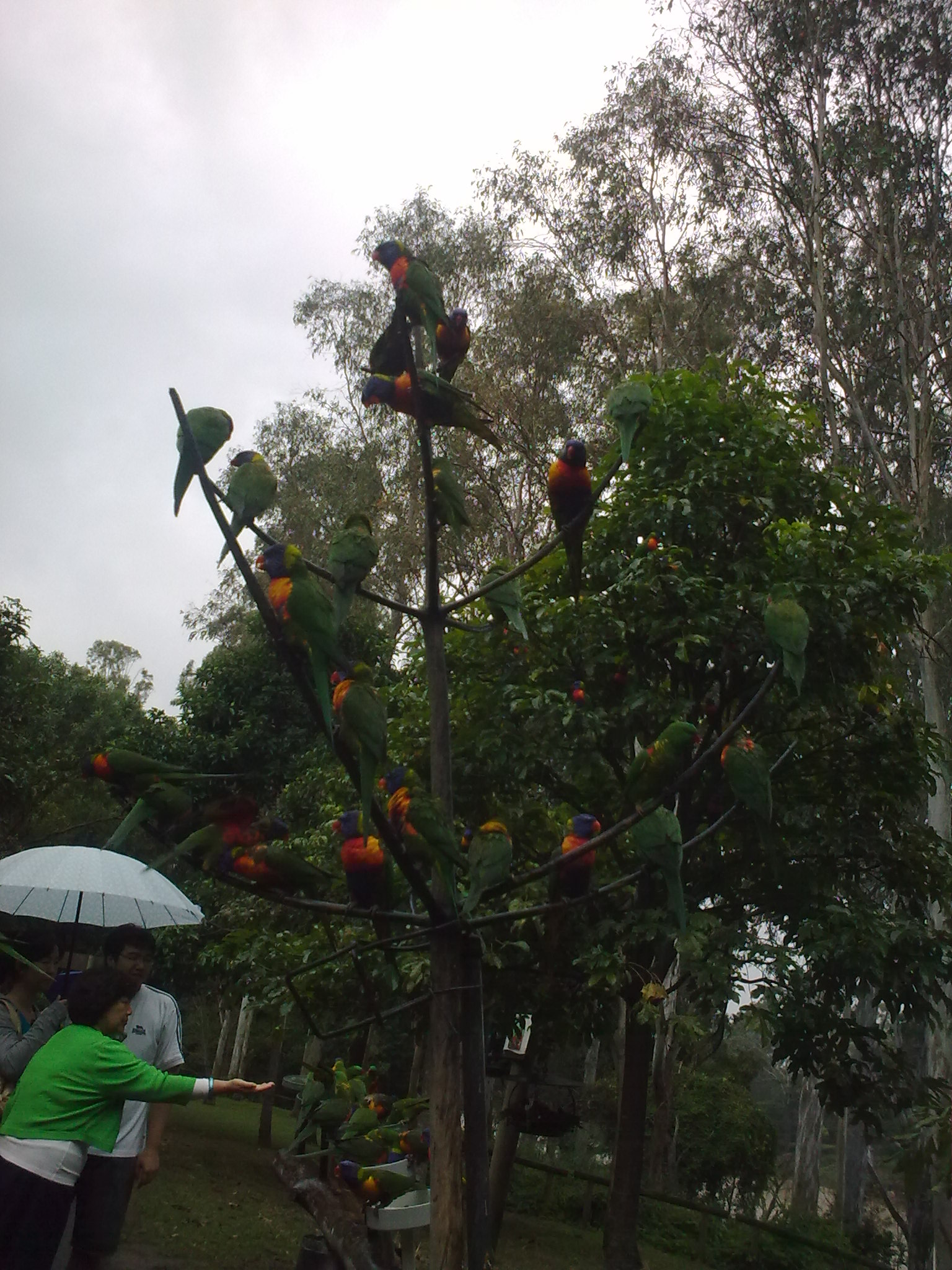 20110429_022.jpg