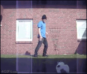 Cat_attacks_Breakdancer.gif