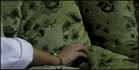 Crevice_cat.gif
