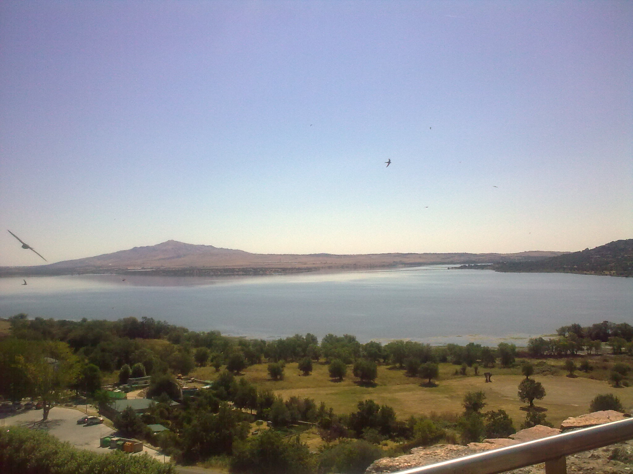 20110723_016.jpg