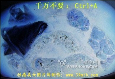 未命名.jpg