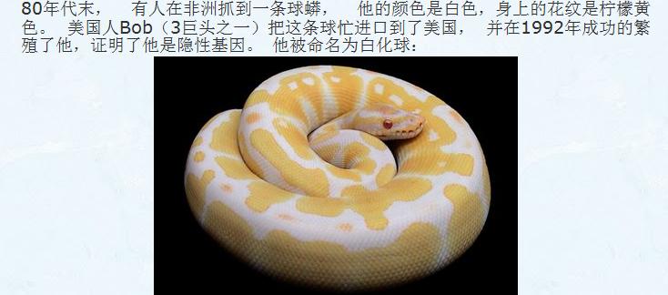 360截图20110810175536591.jpg
