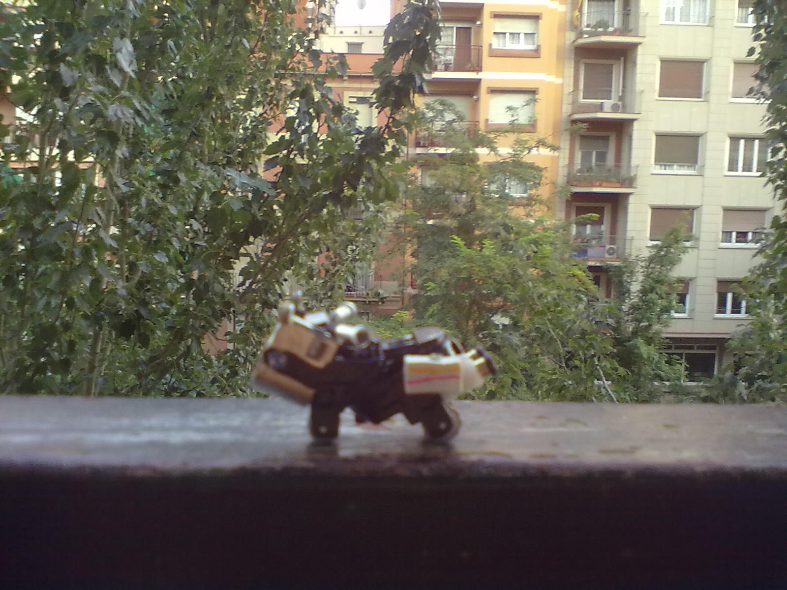 20110820168.jpg