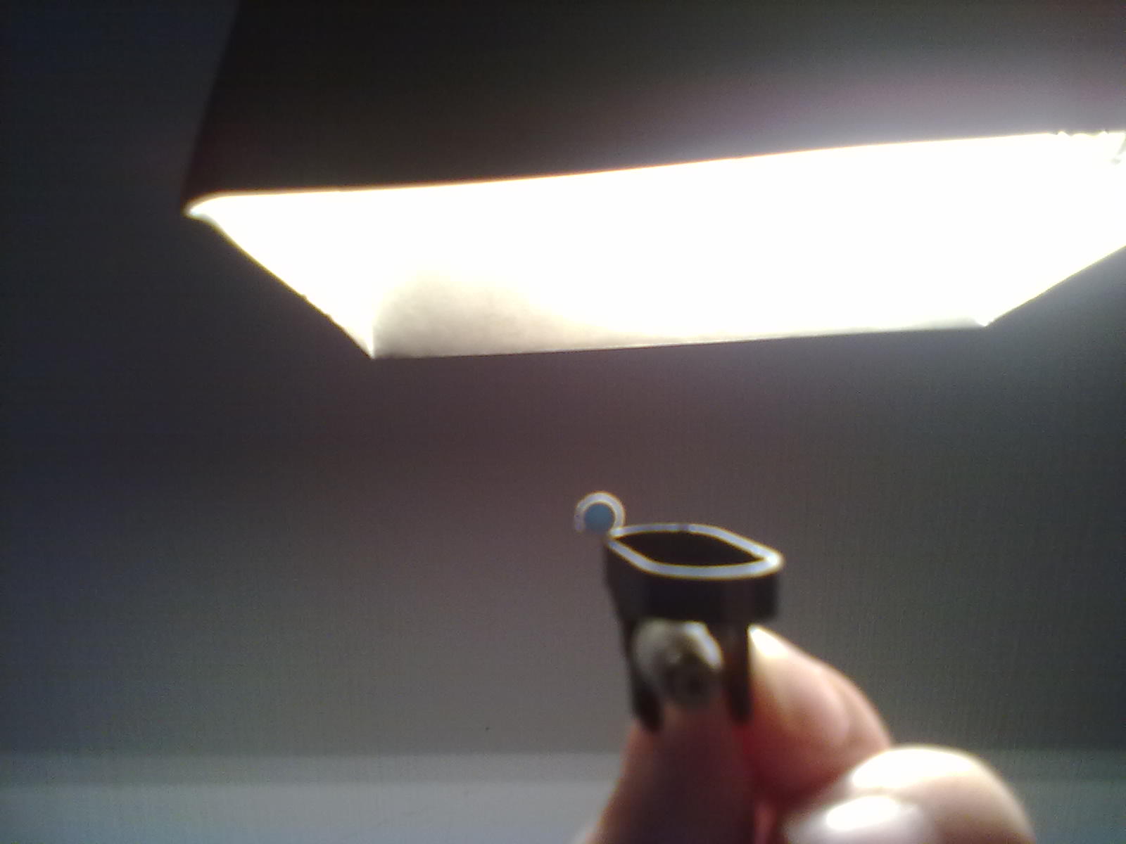 20110820173.jpg