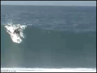 Surfing_Rodeo_flip.gif
