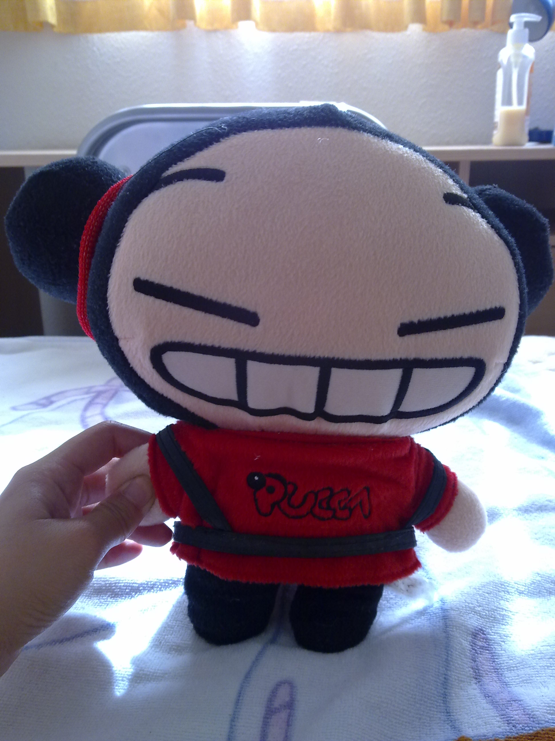 PUCCA