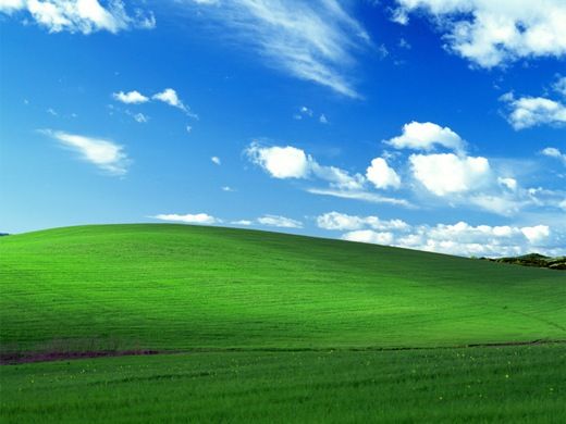 0033390329770795.jpg
