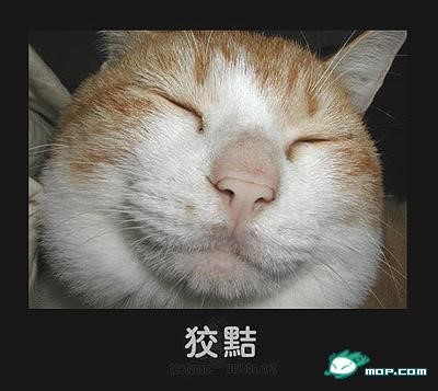 p_large_m3MF_24f800006f0d2d0e.jpg