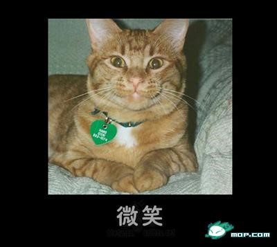 p_large_xtWK_24f800006f122d0e.jpg
