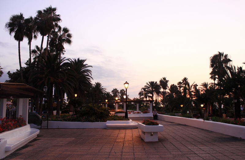 夕阳中的 PUERTO DE LA CRUZ 07.JPG