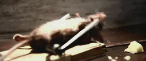 Untitled1.gif