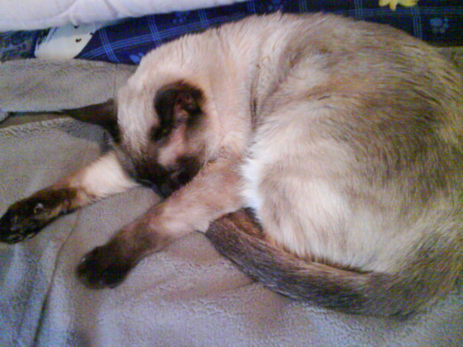 DSC01287.JPG