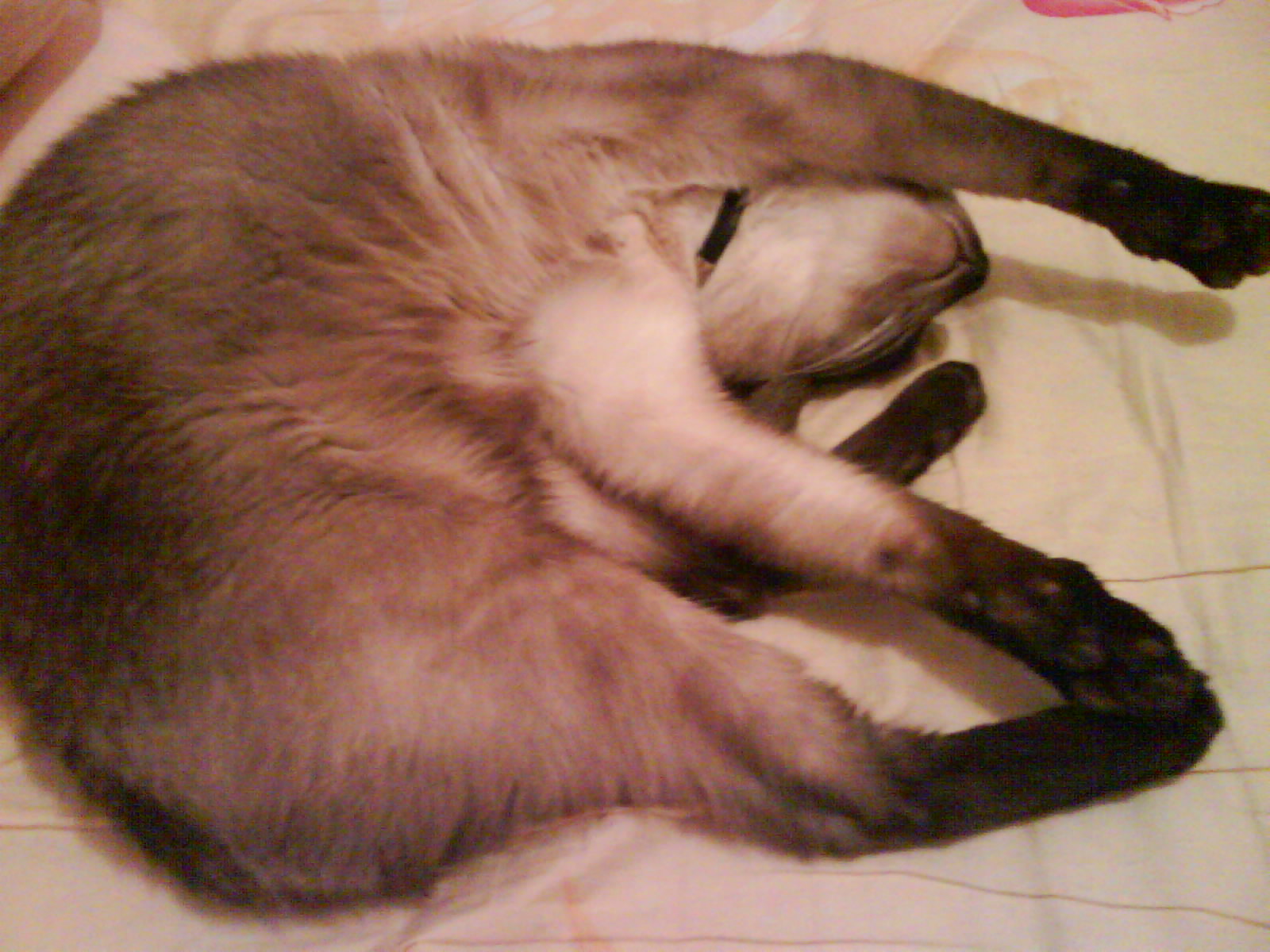 DSC02925.JPG