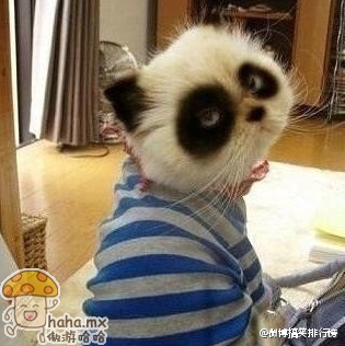 熬夜的后果.JPG