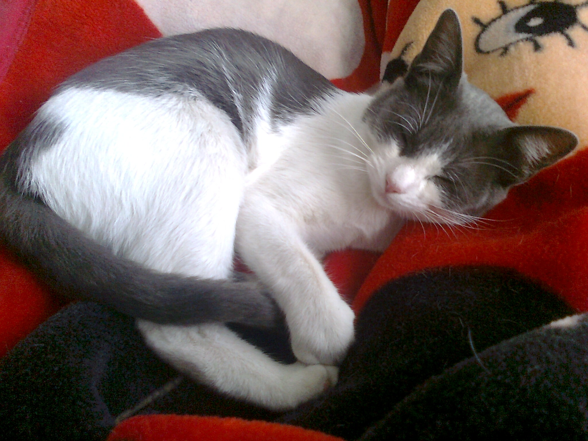 Foto0193.jpg