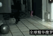 擦，老子明明叼个气球，怎么变了？.gif