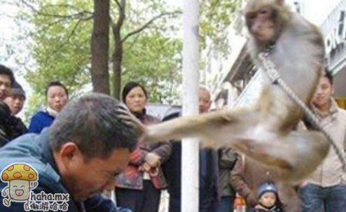 哈哈哈哈，我有佛山无影脚.jpg