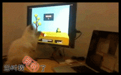 为什么抓不到呢～.gif