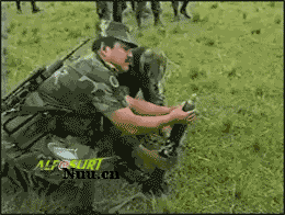 2255857.gif