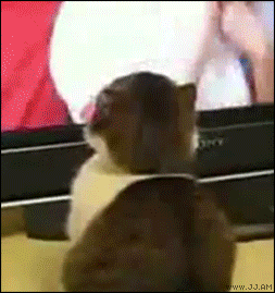 亲。。叫我神马有事情？？！.gif