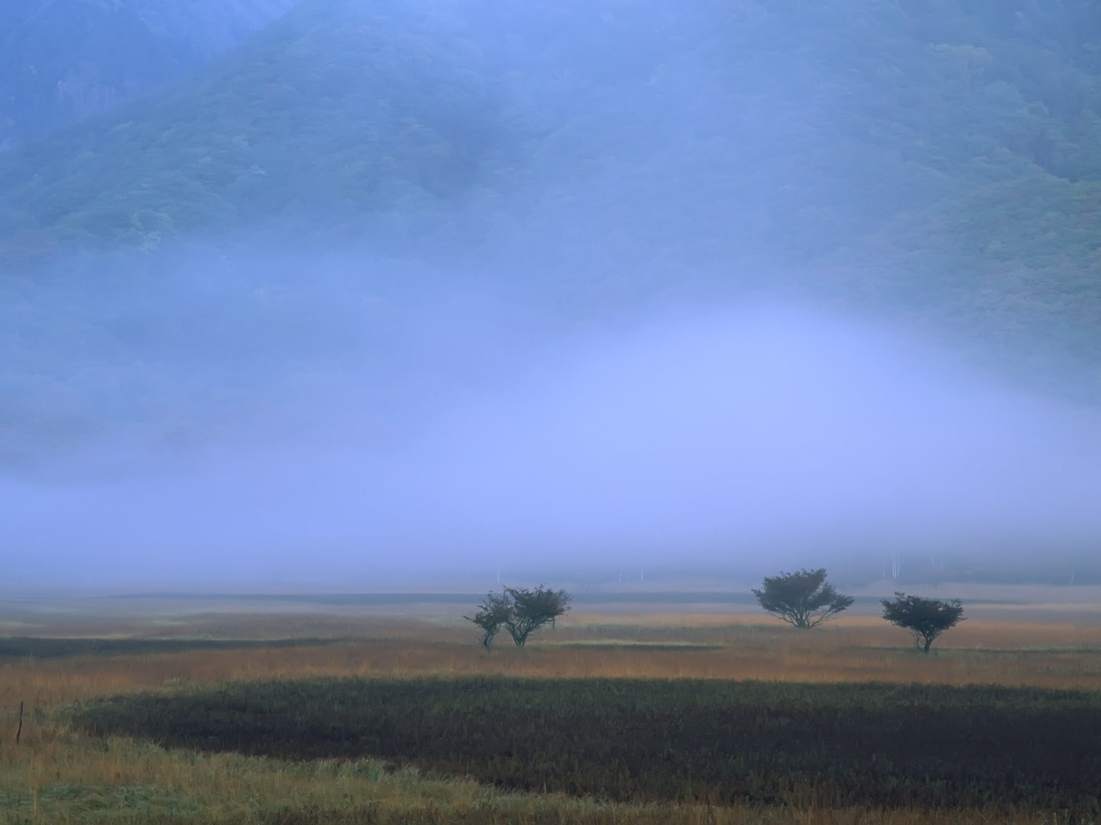 Mist_1007.jpg