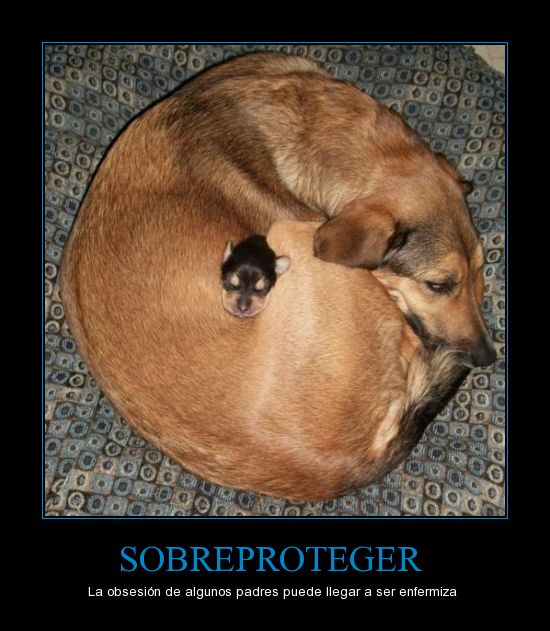 CR_412975_sobreproteger.jpg