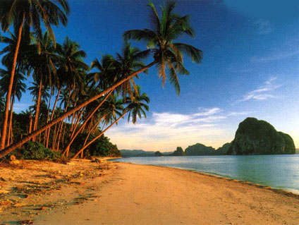 tropicalbeach.jpg