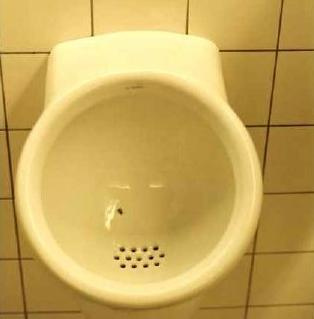 20100109_fantastic_urinal-1.jpg