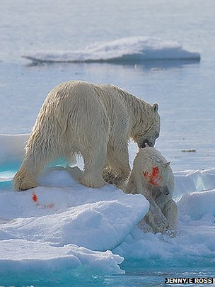1157_001.jpg