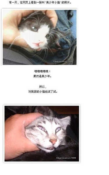 2000_CannotViewImage (2).jpg