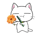 未命名.gif