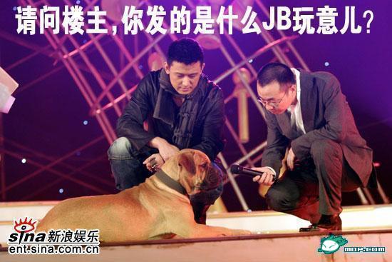 请问LZ发的是什么玩意.jpg