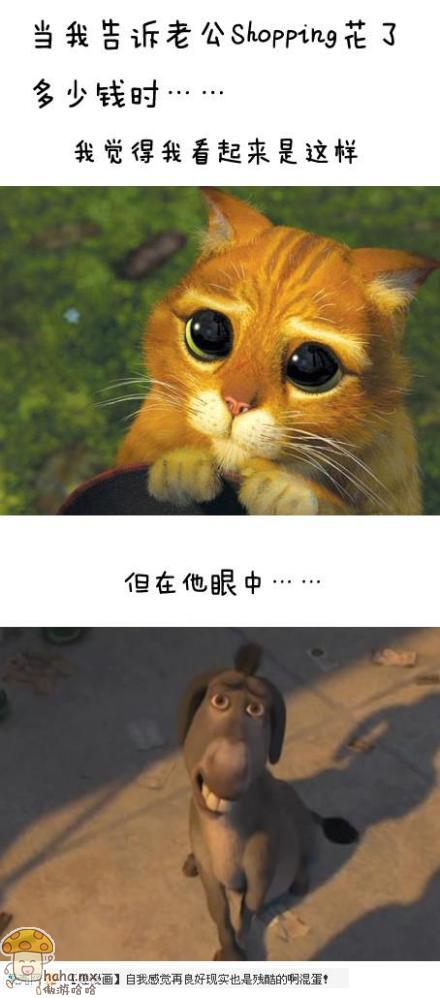 当我告诉老公SHOPPING花了多少钱时.jpg